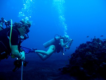 Scuba Diving, Andaman Oasis