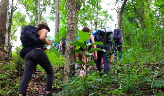 Trekking, Andaman Oasis