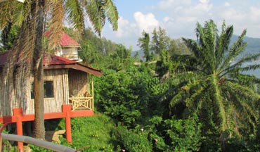 Andaman Oasis | Megapode Resort