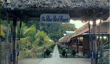 Andaman Oasis | Blue Bird Resort