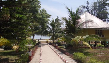 Andaman Oasis | Dolphin Resort